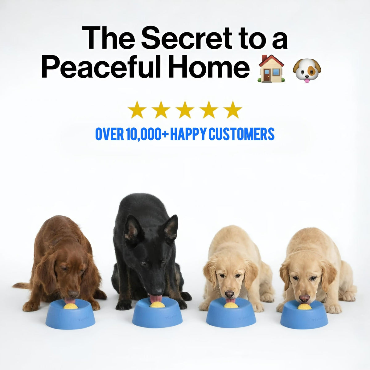 KULGR - FlowControl™ Bowl