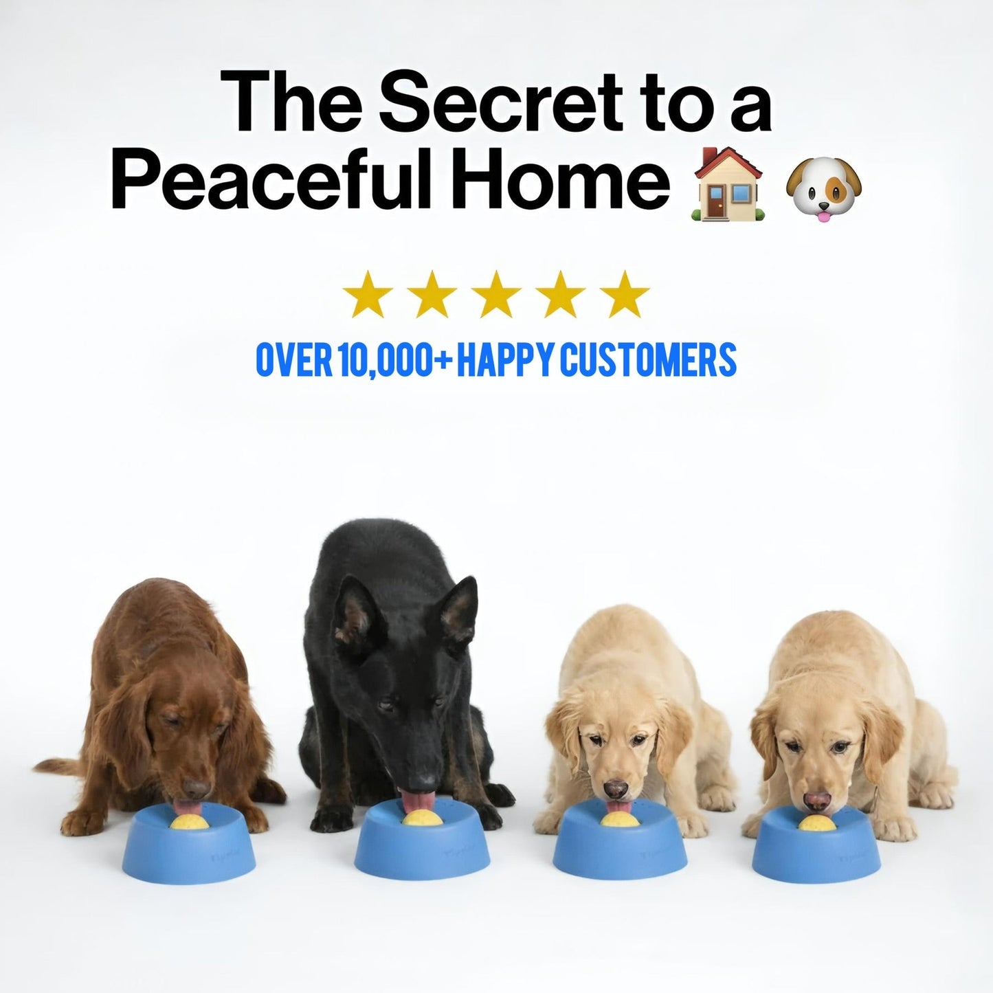 KULGR - FlowControl™ Bowl